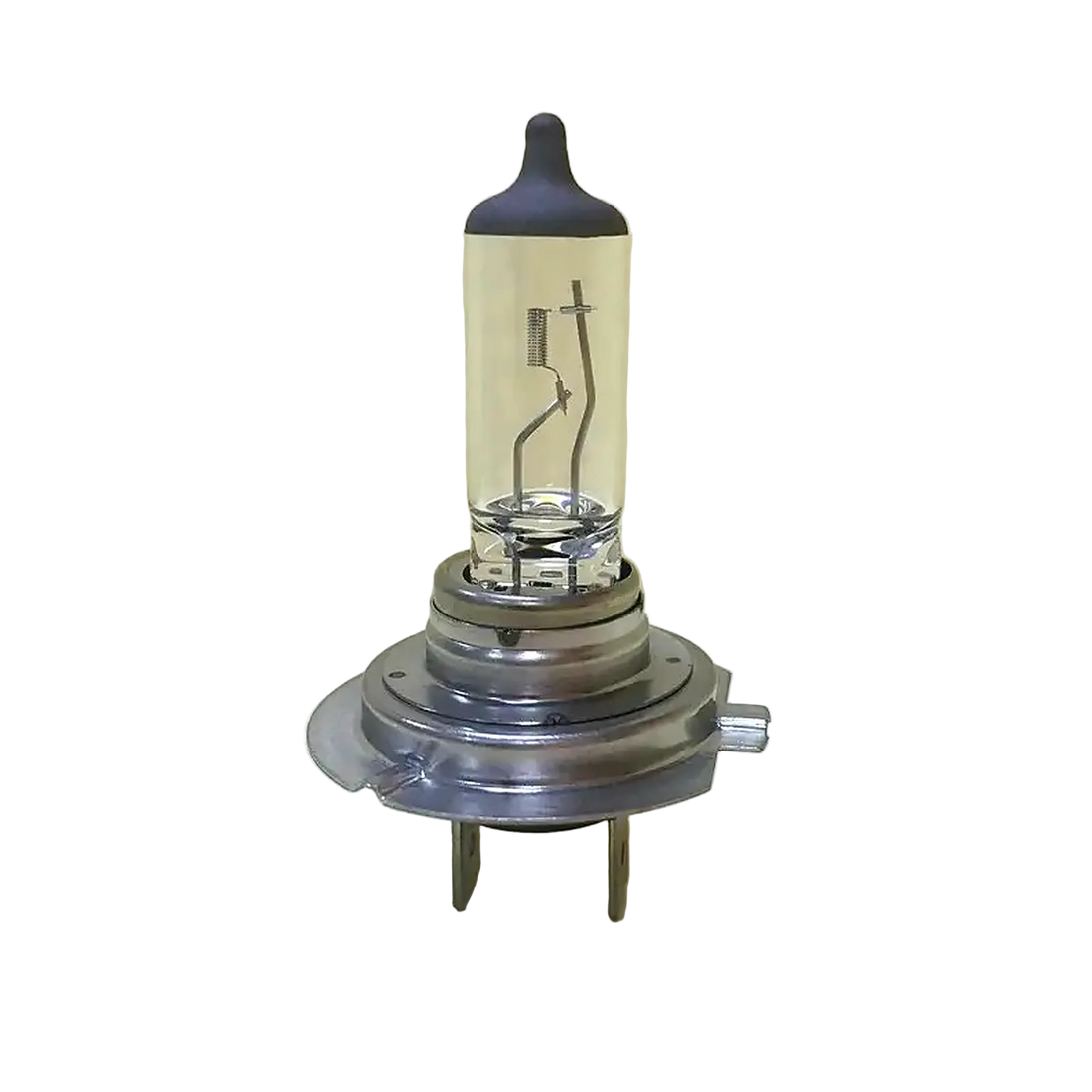 CAR Headlight Halogen Bulbs 55W 12 V